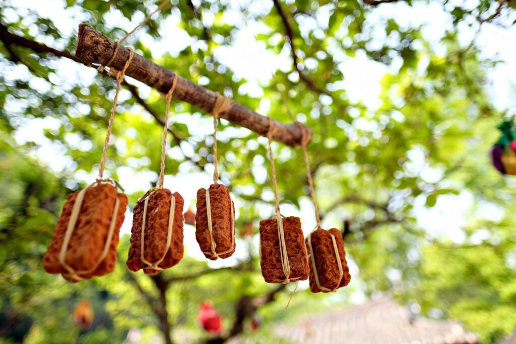 Doenjang: Not Miso. Older.