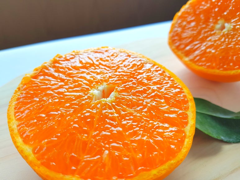 omija schisandra berry Korea